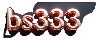 bs333 logo